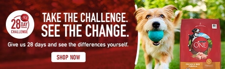With proven nutrition from Purina ONE®, you’ll see visible differences from the first day. From a shiny coat to stronger muscles and a healthier heart, you can join nearly 2 million pet owners who have taken the 28-Day Challenge. Plus, enjoy a digital coupon to save $2.00 on Purina ONE 16.5 lb Dog Food!